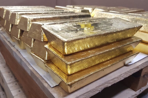 News on Gulf Gold Every Day