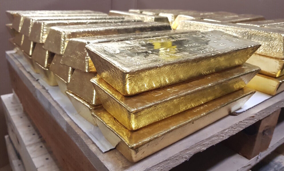 News on Gulf Gold Every Day